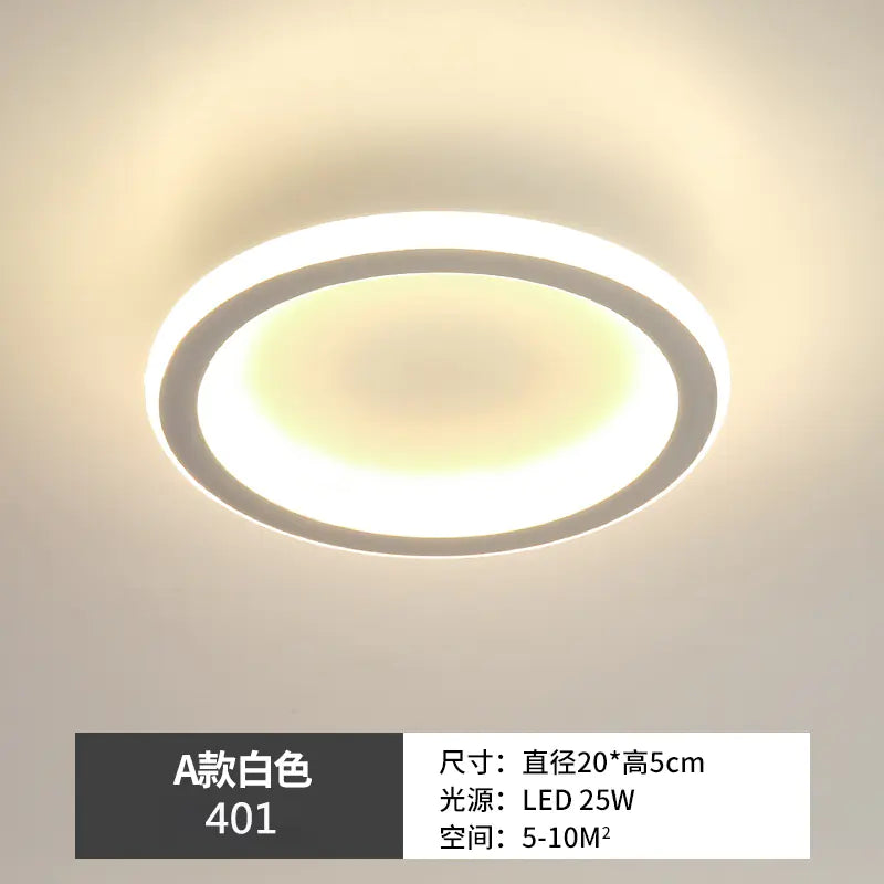 Modern Minimalist LED Ceiling Corridor Light Fixture